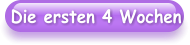 Die ersten 4 Wochen