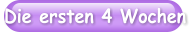 Die ersten 4 Wochen